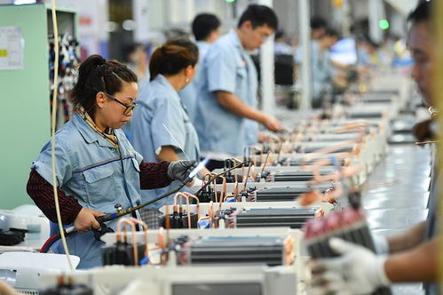 常州小家電 德法韓市場中的中國力量